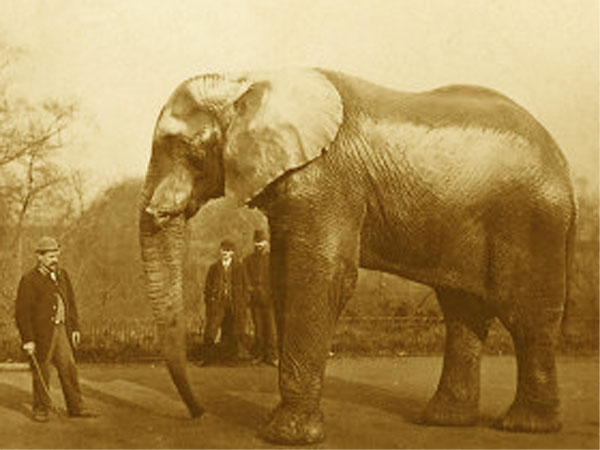 Click here for Magnification