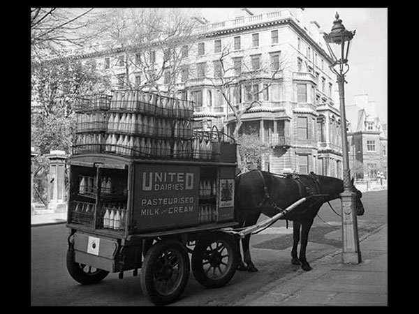 Click here for Magnification