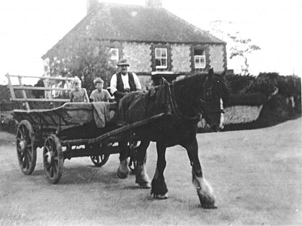 Click here for Magnification