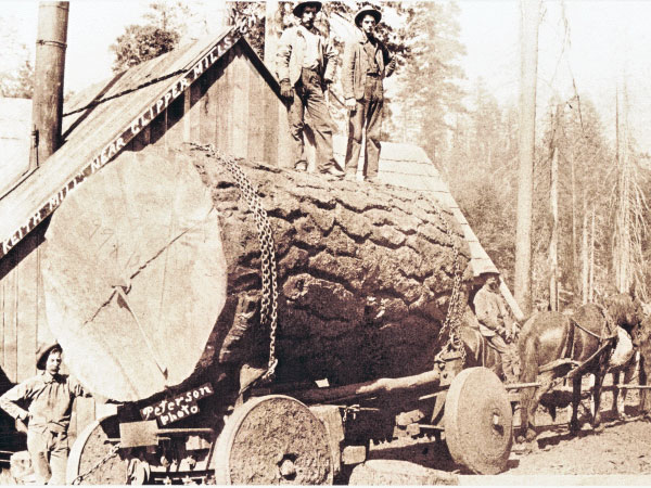 Click here for Magnification