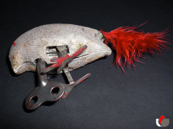 Click here for Magnification