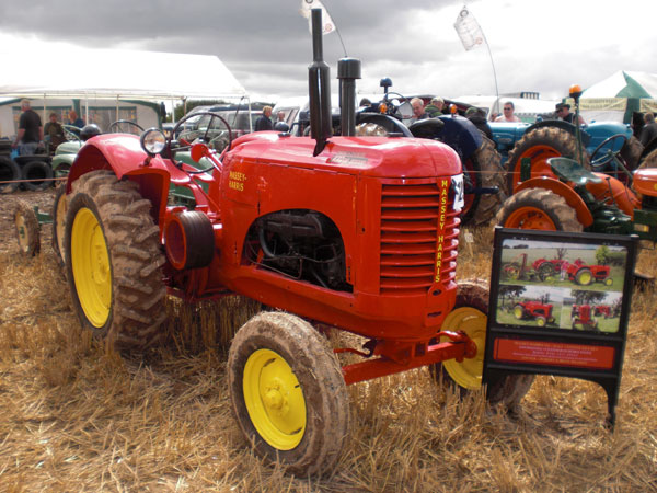 Click here for Magnification